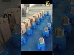 Un lotto di trofeo di tricone